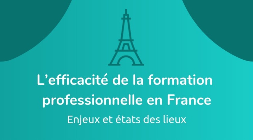 L’efficacité de la formation professionnelle en France : enjeux et ...